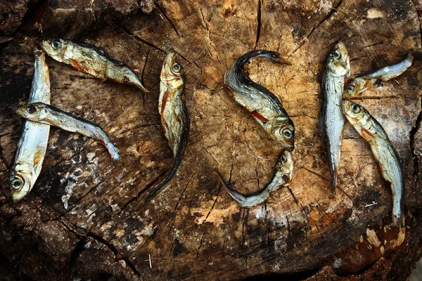 Kleine getrocknete Fische, die das Wort Fisch bilden — Stockfoto