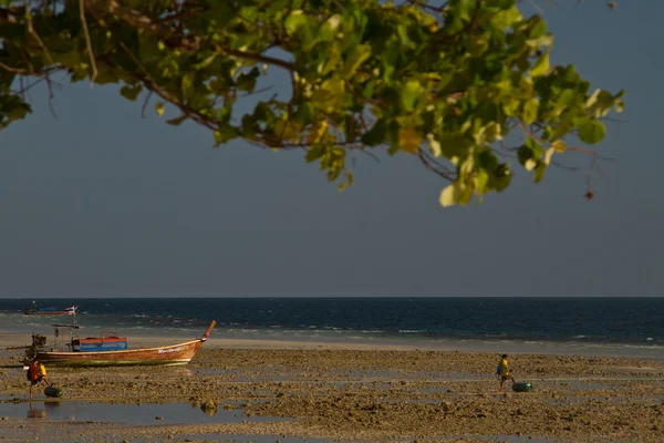 Barca a coda lunga in Thailandia — Foto Stock