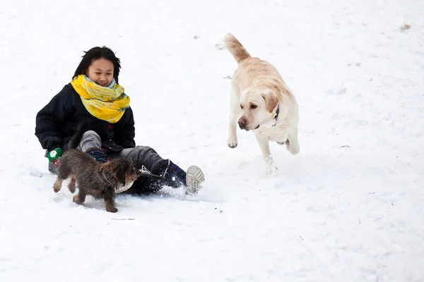 Girl sledging with her dog — Stock Photo, Image