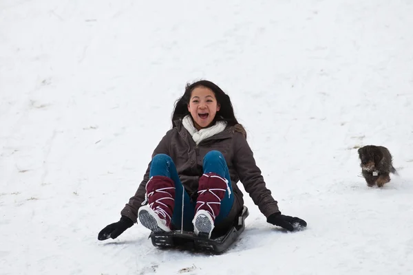 Girl sledging with her dog — Stock Photo, Image