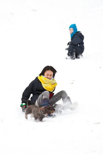 Girl sledging — Stock Photo, Image