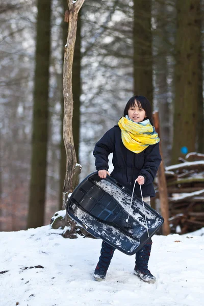 Girl sledging — Stock Photo, Image