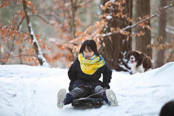 Girl sledging — Stock Photo, Image