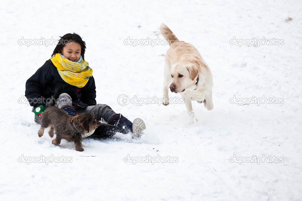 Girl sledging with her dog