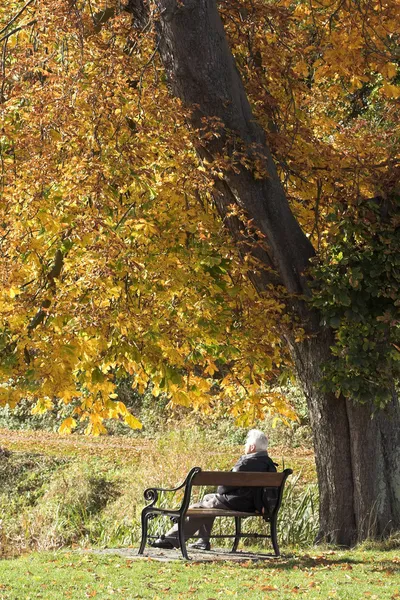 Podzimní lavička — Stock fotografie