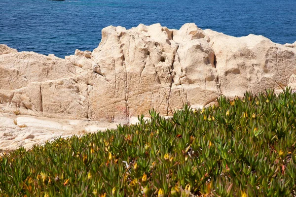 알가줄라 마을의 해변에 바위들이나 아단의 코르시카에 마을의 바위들 — 스톡 사진