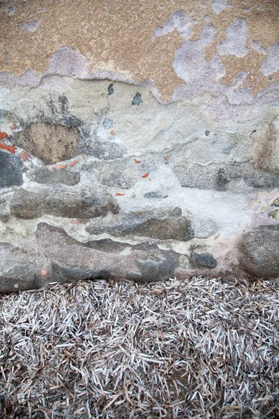 Rotsen Aan Het Strand Algajola Dorp Stad Corsica Balagne Gebied — Stockfoto