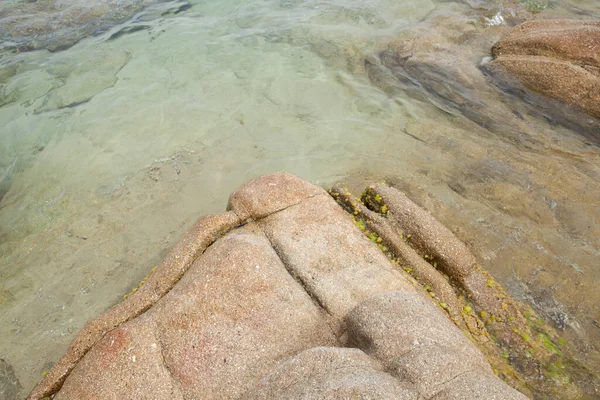 Rocks Beach Algajola Village Town Corsica Balagne Arean Summer — Stock Photo, Image