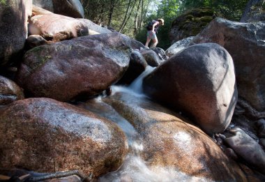 Balagne bölgesinde Calvi Korsika yakınlarında Bonifato Ormanı 