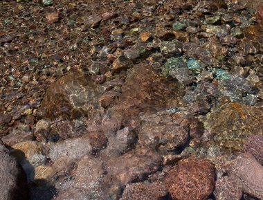 Balagne bölgesinde Calvi Korsika yakınlarında Bonifato Ormanı 