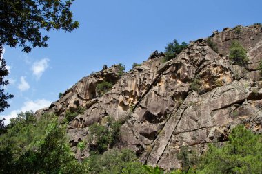 Balagne bölgesinde Calvi Korsika yakınlarında Bonifato Ormanı 