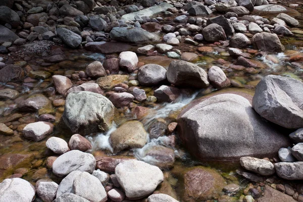 Bonifatoskog Nära Korsika Balagne — Stockfoto