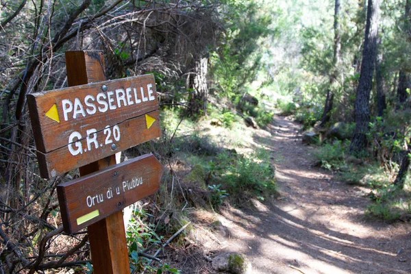 Bonifato Wald Der Nähe Von Calvi Korsika Der Balagne — Stockfoto