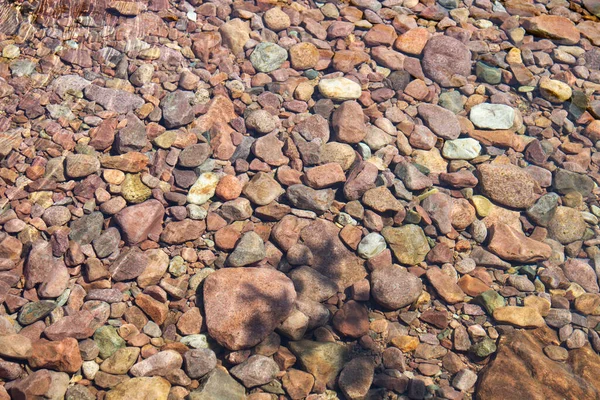 Balagne Bölgesinde Calvi Korsika Yakınlarında Bonifato Ormanı — Stok fotoğraf