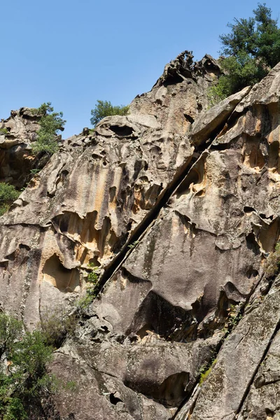 Bonifato Wald Der Nähe Von Calvi Korsika Der Balagne — Stockfoto