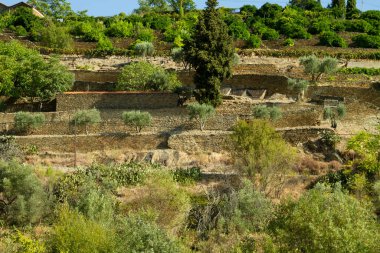 Wineyards Douro Vadisi Portekiz Douro Nehri 'nden ve trenden Porto' ya