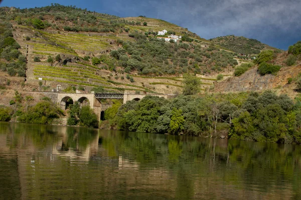 Vale Douro Portugal Baleado Partir Barco Que Navega Beira Rio — Fotografia de Stock