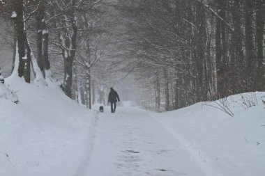 Kar fırtınası sırasında Danimarka 'da kışın kara sapı