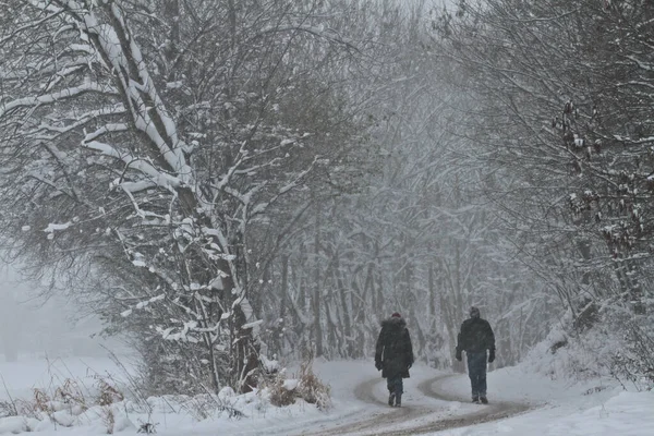 Winterlandschap Denmark Onder Sneeuw Tijdens Een Sneeuwstorm — Stockfoto