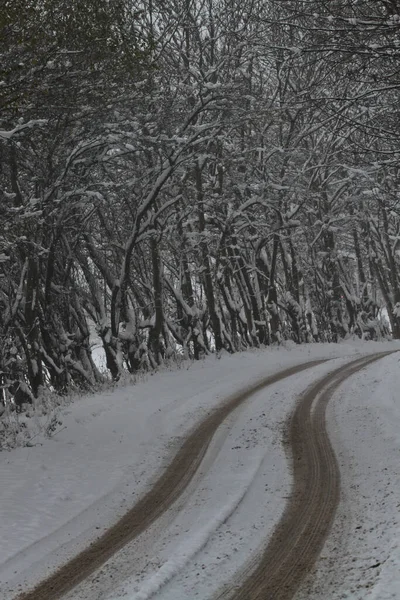 Traffico Inverno Denmark Durante Una Tempesta Neve — Foto Stock