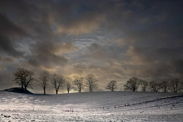 Hiver Ensoleillé Avec Ciel Orange — Photo