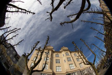 Frederiksberg Allee 2012 baharında Danimarka 'da. 