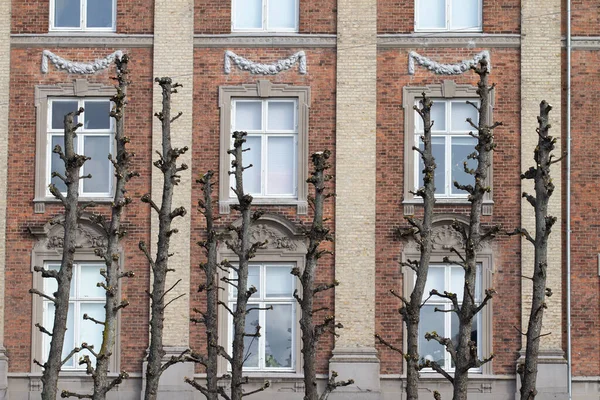 Frederiksberg Allee Dánsku Jaře 2012 — Stock fotografie