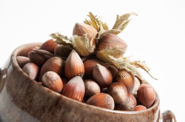 izole beyaz üzerine fındık