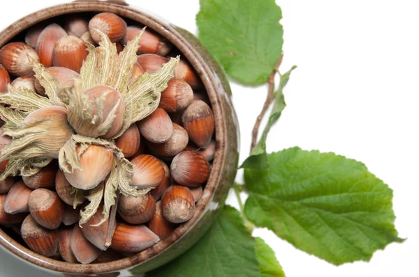 Hazelnut pada putih yang terisolasi — Stok Foto