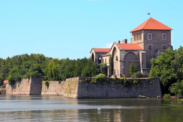 ハンガリーのタタにある城 ロイヤリティフリーのストック写真
