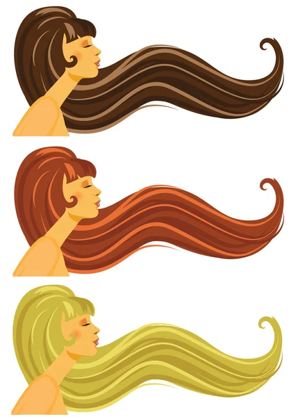 Cheveux longs bruns, blonds et roux — Image vectorielle