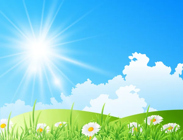 Champ de marguerites au soleil éclatant — Image vectorielle