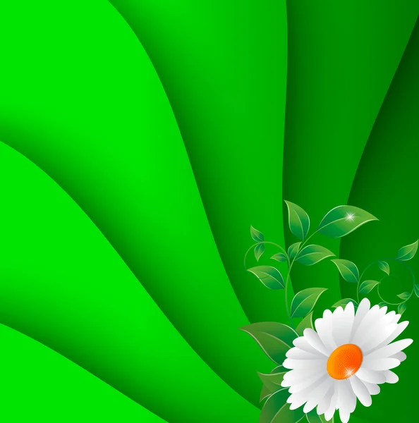 Illustration vectorielle de fleur de camomille — Image vectorielle