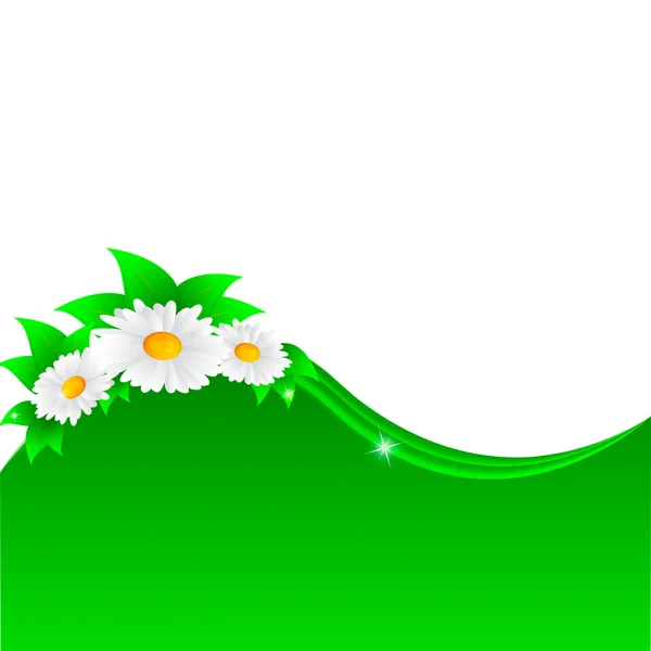 Wektor ilustracja kwiat rumianku — Wektor stockowy