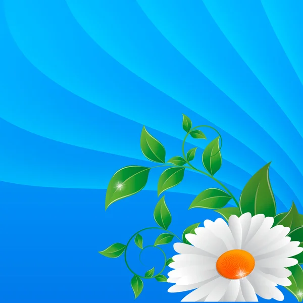 矢量抽象背景上的菊花 — 图库矢量图片