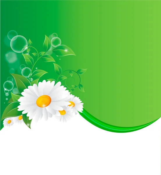 カモミールの花のベクトル図 — ストックベクタ