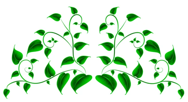 Yaprak yeşil — Stok Vektör