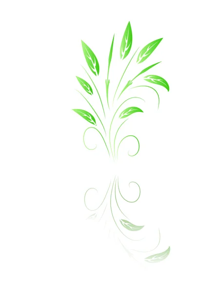 Feuille verte — Image vectorielle