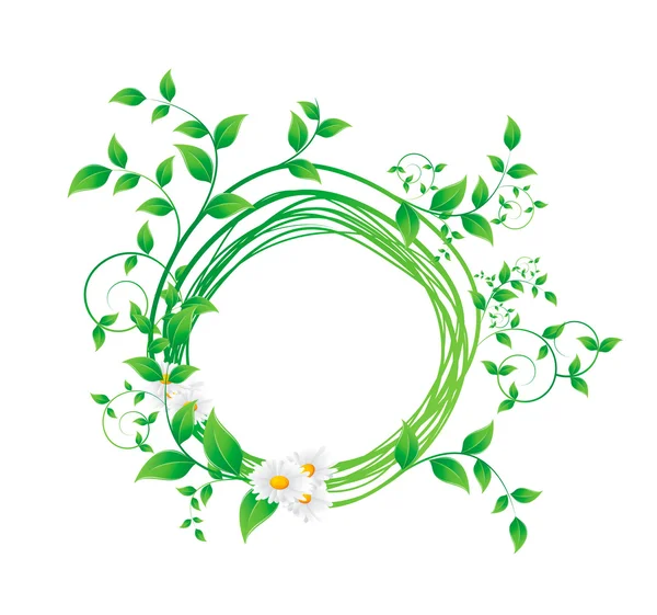 洋甘菊花和绿色的树叶 — 图库矢量图片