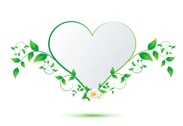 Chamomile flower and green leaves in the shape of heart — Stock Vector