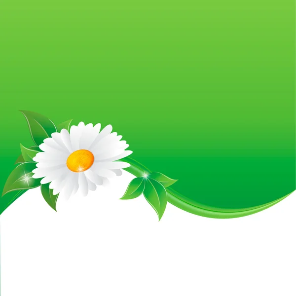Illustration vectorielle de fleur de camomille — Image vectorielle