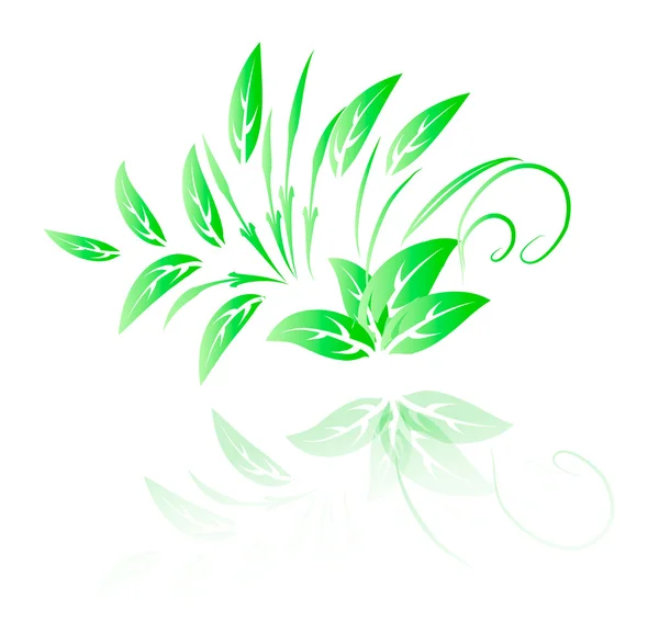 Yeşil yaprağın vektör illüstrasyonu — Stok Vektör