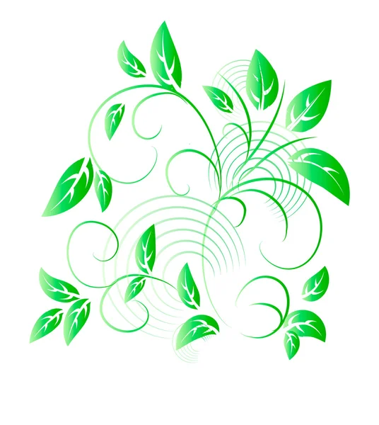 Vektorová ilustrace zeleného listu — Stockový vektor