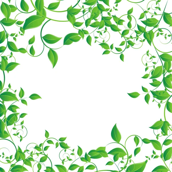 Liść zielony — Wektor stockowy