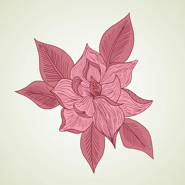 Dibujo a mano fondo floral — Archivo Imágenes Vectoriales