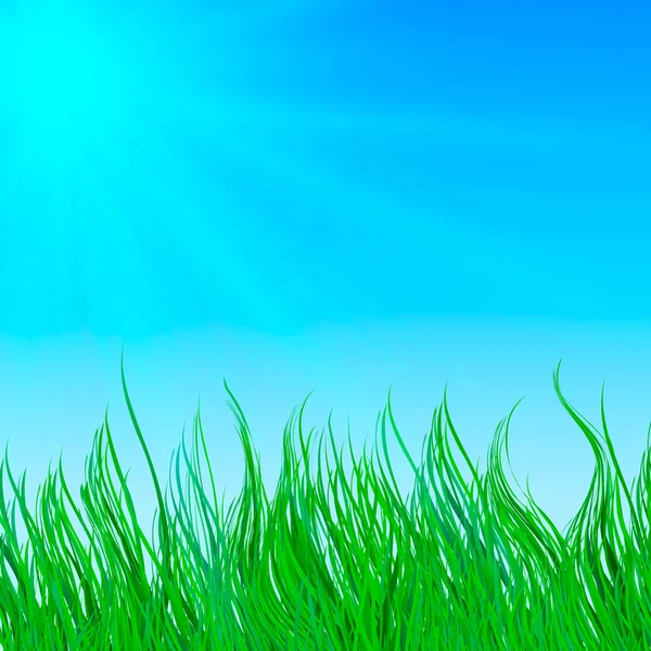 自然背景与绿草和蓝蓝的天空 — 图库矢量图片