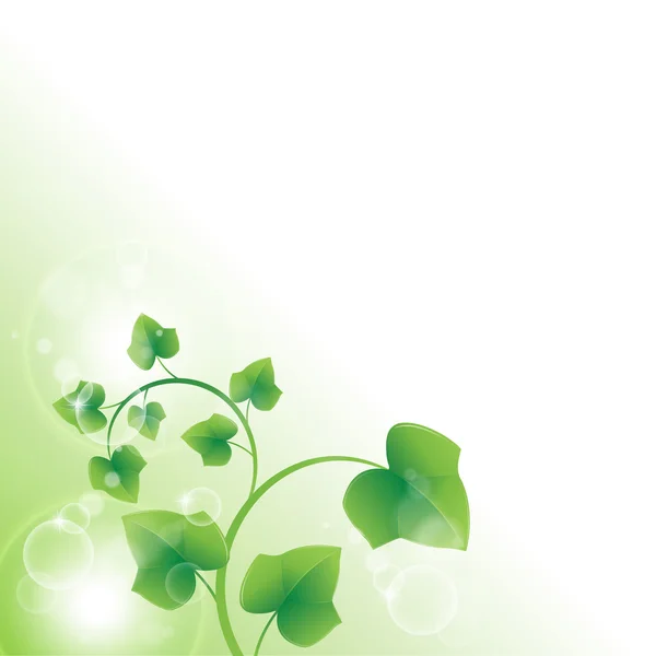 Gałąź z zielonymi liśćmi — Wektor stockowy
