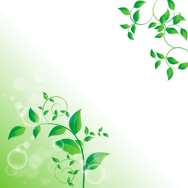 Branch with green leaves — Stock Vector