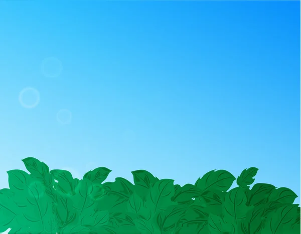 Natuur achtergrond met groene gras en blauwe hemel — Stockvector
