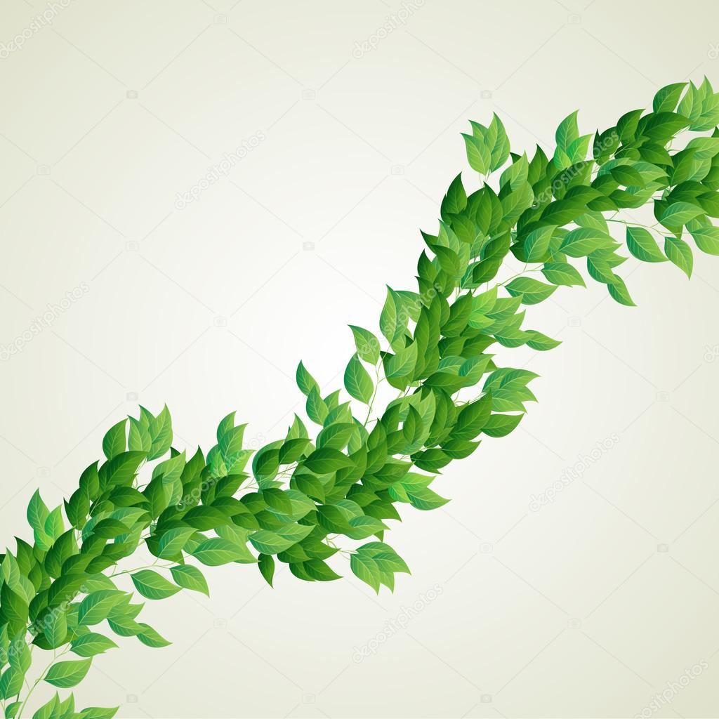 Branch with fresh green leaves